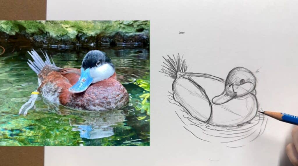 A person’s hand using a pencil to draw an illustration of a duck on white paper. The reference photo is visible on the left.