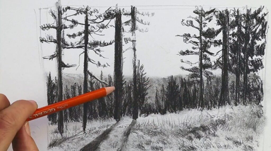 A person using a charcoal pencil to create a drawing of trees in a forest. The trees in the foreground are casting long shadows on the ground.