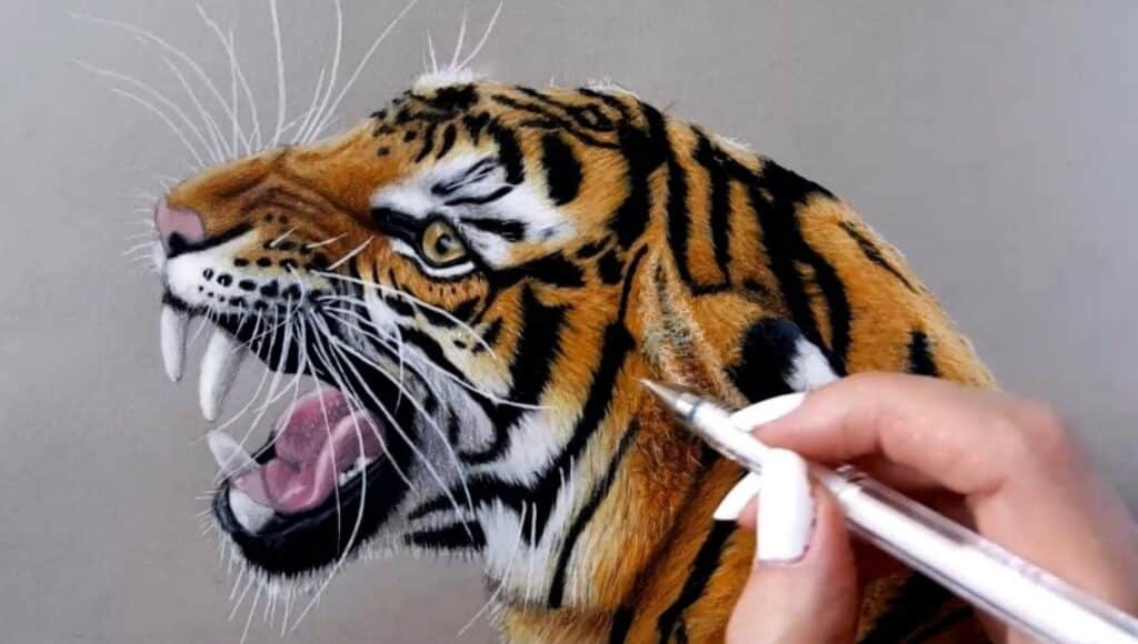A person’s hand using a pen to put the finishing touches on a photorealistic drawing of a snarling Bengal tiger.