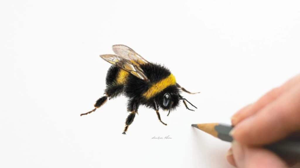 A person’s hand using colored pencils to create a photorealistic drawing of a bumblebee on white paper.