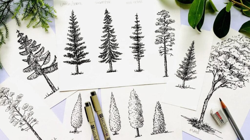 Several pieces of paper on a white tabletop. Each piece of paper is filled with ink drawings of trees.