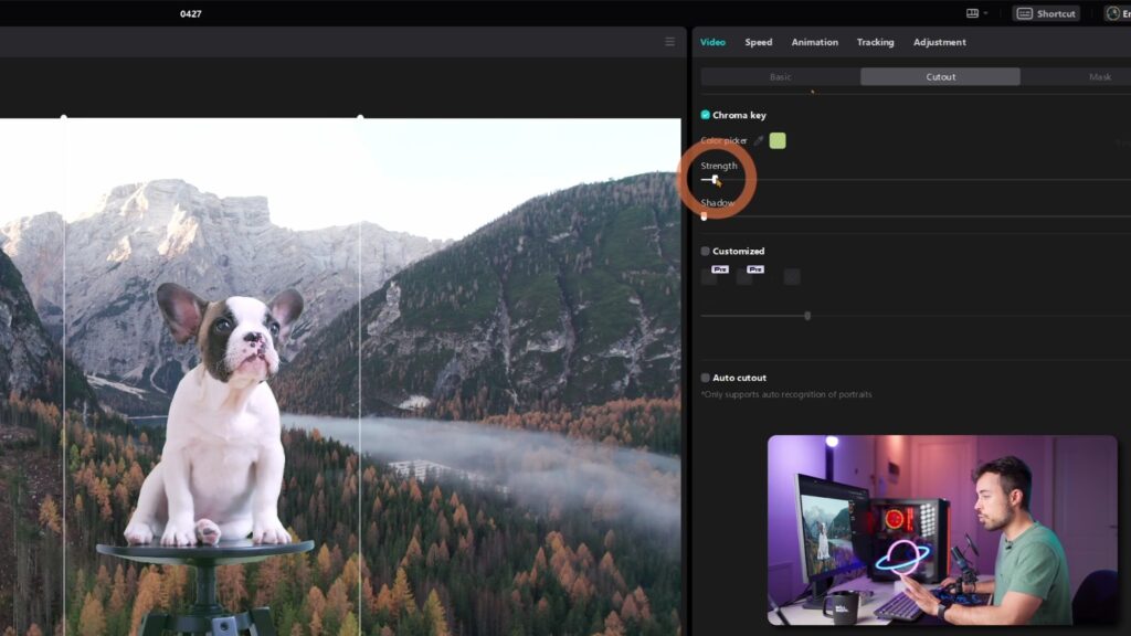 Open Capcut project with a photo of a dog over a greenscreen background of mountains, fog and trees.