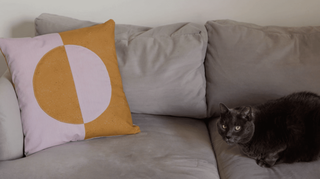 A pink and orange decorative pillow sits on a couch next to a cat. The pillow has an orange half-circle and pink background on one side and a pink half-circle and orange background on the other side. 