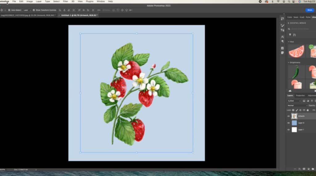 The image editing software Photoshop open on a Mac computer. The workspace is occupied by a vibrantly colored illustration of red strawberries and white flowers growing on a green leafy plant. The artwork has a light blue background. The user has used their cursor to select a square-shaped section around the main illustration.