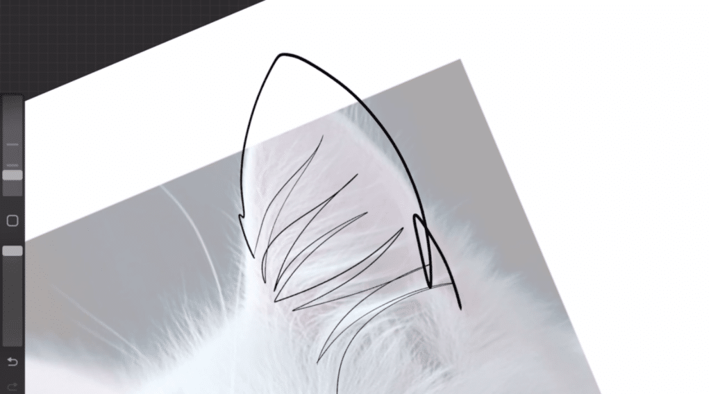 Procreate is open to a white canvas with a photo of a cat on it. Only the cat’s ear is visible in the frame because the artist has zoomed in on the photo. A black line drawing of the cat’s ear is visible on top of the photo of the cat’s ear.