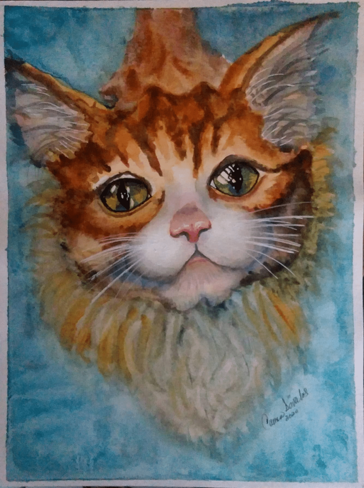 cat