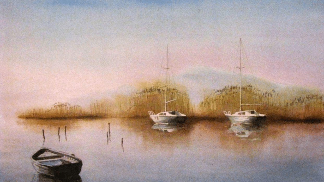 boats