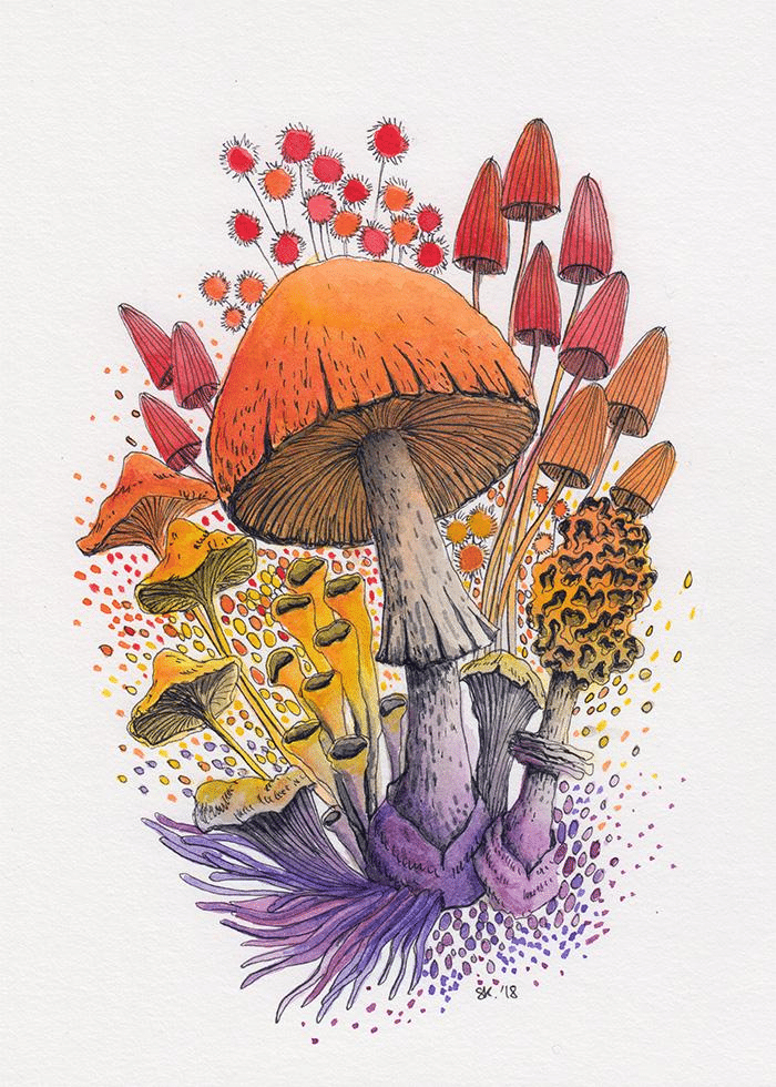 mushrooms