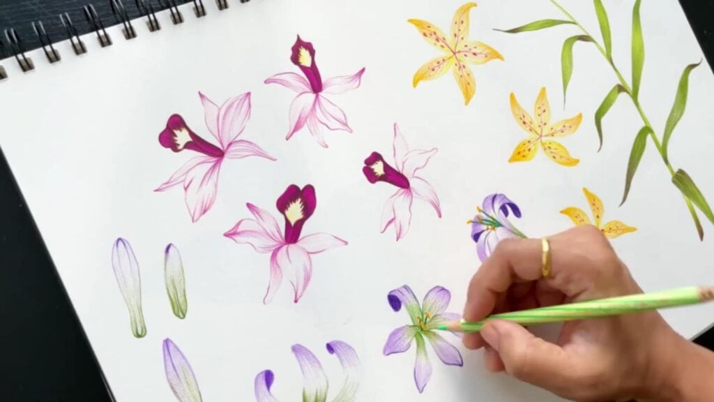 Page of a spiral-bound sketchbook with several wildflower drawings in blues, purples, yellows and greens