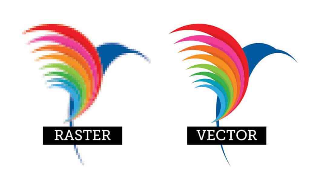 Two identical digital illustrations of a bird side-by-side. The one on the left is labeled ‘raster’ and is pixelated. The one on the right is labeled ‘vector’ and has smooth, non-pixelated lines. 