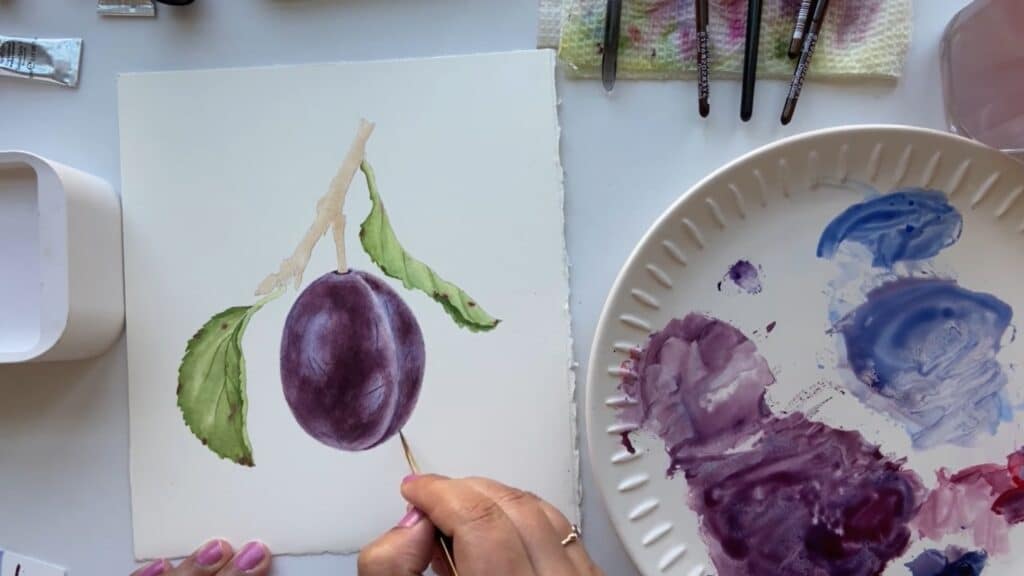An artist is painting a watercolor purple plumb hanging from a light brown branch with green leaves. Around the painting are brushes, paints and a tray of mixed colors.