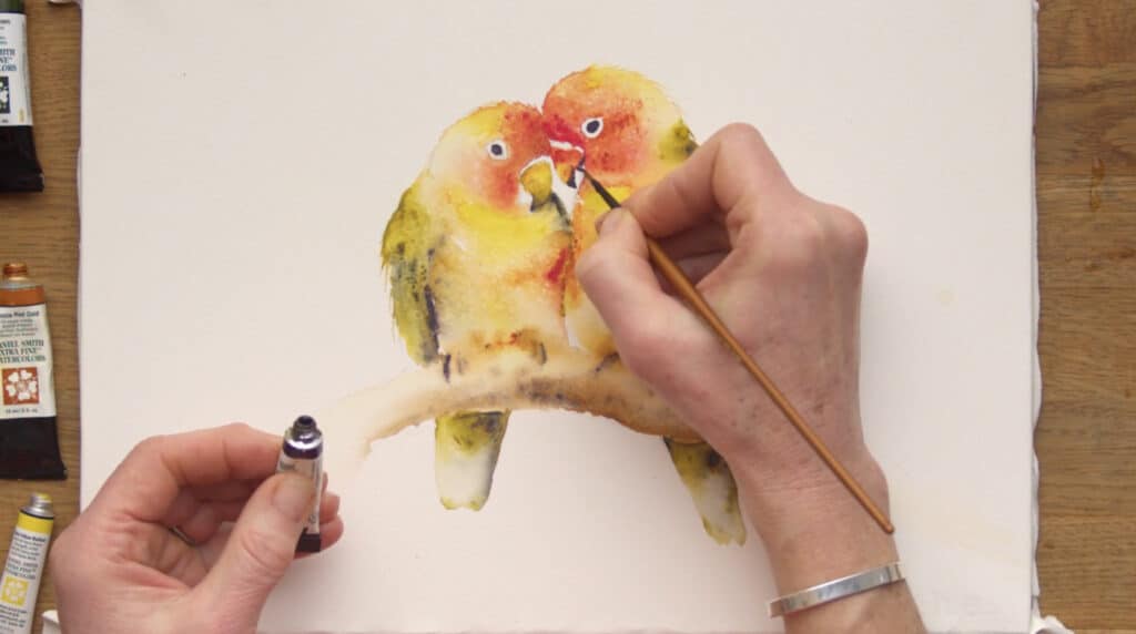 A woman’s hands using a paintbrush and a tube of watercolor paint to put the finishing touches on a watercolor painting. The painting depicts two green, red and yellow lovebirds nuzzling each other while perched on a branch.