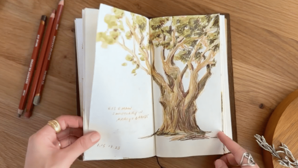 Two hands hold open a notebook sitting on a wooden table. The notebook is filled with a colored pencil drawing of a large tree with a thick trunk. Three colored pencils sit on the table next to the notebook. 