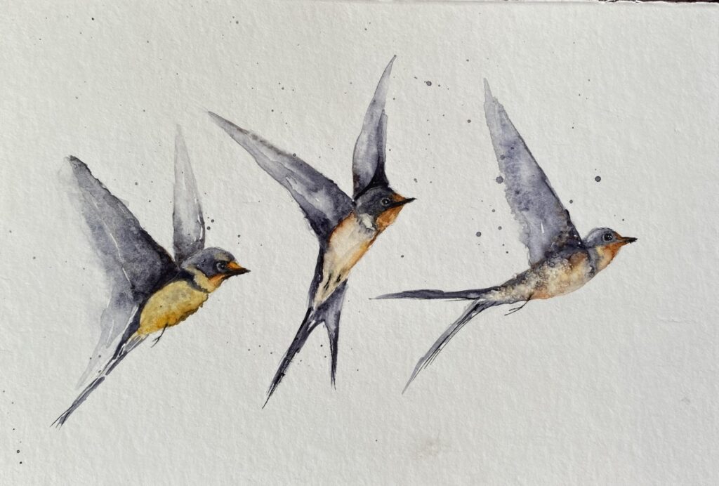 Watercolor painting of three swallows in flight