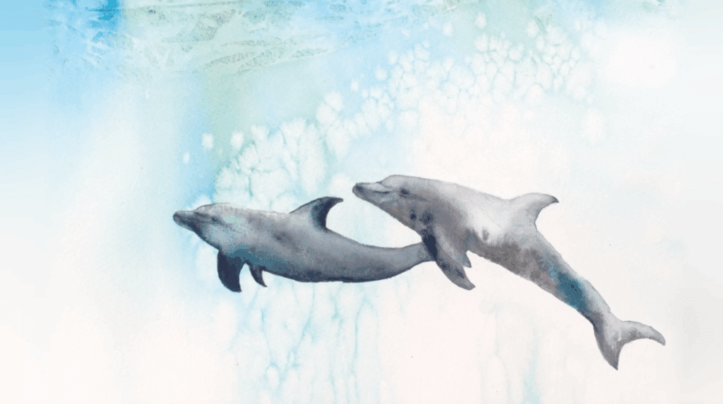 This watercolor painting features two dolphins swimming underwater. 