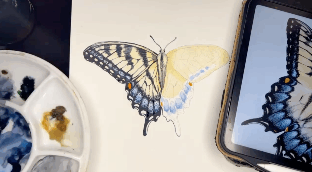 A watercolor painting of a blue and yellow butterfly sits on a table. Beside the painting is a tablet open to an image of the same butterfly and a plastic paint palette.